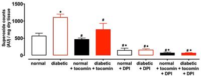 Tocomin Restores Endothelium-Dependent Relaxation in the Diabetic Rat Aorta by Increasing NO Bioavailability and Improving the Expression of eNOS